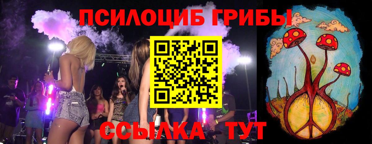 Севастополь  Галлюциногенные грибы Psilocybe  Псилоцибиновые грибы ЛСД  Вход с VPN 